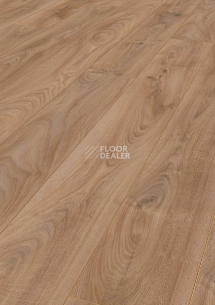 Ламинат Terhurne Grand Line 1843  Дуб Медно - Коричневый  1101020811 фото 1 | FLOORDEALER