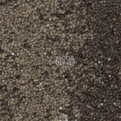 Ковровая плитка Balsan Nexus Link Sonic Confort 775 фото 1 | FLOORDEALER