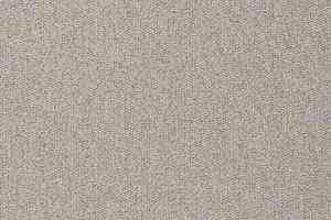 Ковролин Vorwerk Passion 1005 Vorwerk 6c57 фото  | FLOORDEALER