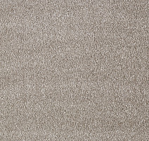 Ковролин AW Secret 49 фото 1 | FLOORDEALER