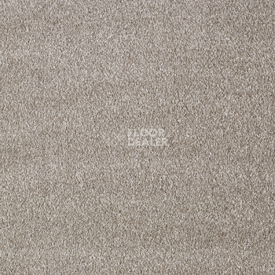 Ковролин AW Secret 49 фото 1 | FLOORDEALER