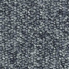 Ковролин Balsan Centaure 2000 Centaure 980 фото 1 | FLOORDEALER