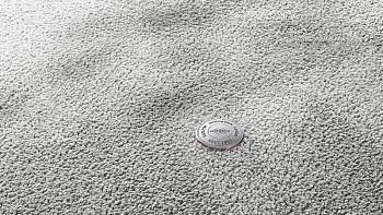 Ковролин Vorwerk Superior 1067 Mira Vorwerk 5x99 фото 1 | FLOORDEALER