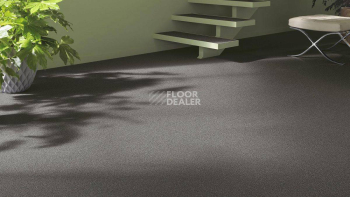 Vorwerk Essential 1031 Vorwerk 5w58 фото 2 | FLOORDEALER