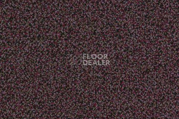 Ковровая плитка DESSO Sand 3902 фото 1 | FLOORDEALER