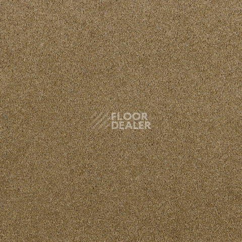 Ковровая плитка Escom Prestige 65360 фото 1 | FLOORDEALER