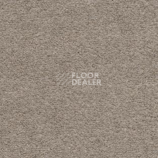 Ковролин AW Sauvage 34 фото 1 | FLOORDEALER