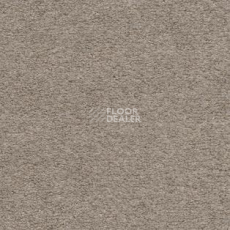 Ковролин AW Sauvage 34 фото 1 | FLOORDEALER