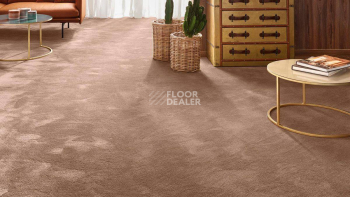 Vorwerk Exclusive 1060 Safira 1n26 фото 2 | FLOORDEALER