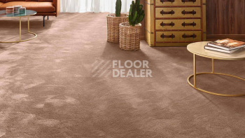Vorwerk Exclusive 1060 Safira 1n26 фото 2 | FLOORDEALER