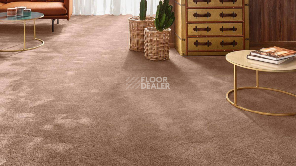 Vorwerk Exclusive 1060 Safira 1n26 фото 2 | FLOORDEALER