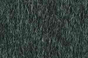 Ковровая плитка Desso Lita Desso Lita 9502 фото  | FLOORDEALER