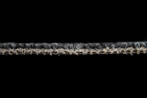 AW Medusa 99 фото 4 | FLOORDEALER