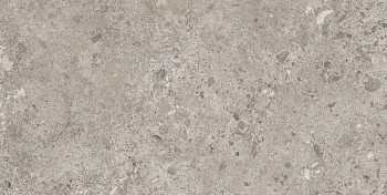 Керамогранит Bierzo 60X120 Gris фото 1 | FLOORDEALER