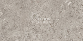 Керамогранит Bierzo 60X120 Gris фото 1 | FLOORDEALER