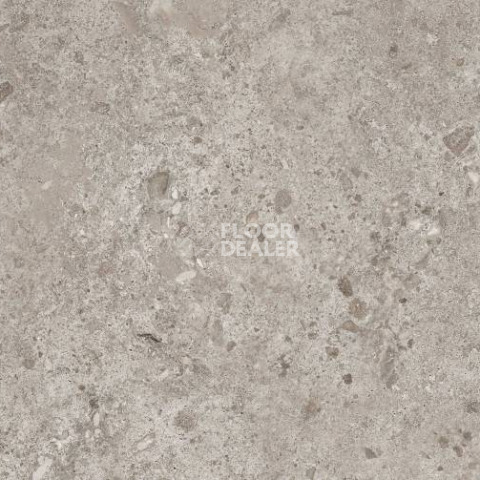Керамогранит Bierzo 60X120 Gris фото 1 | FLOORDEALER