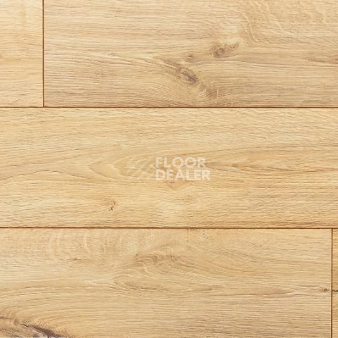 My Step Fortis MS412 Дуб Глессум фото 1 | FLOORDEALER