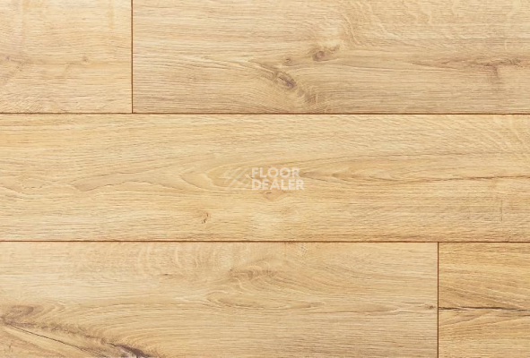 Ламинат My Step Fortis MS412 Дуб Глессум фото 1 | FLOORDEALER