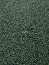 Haima Noble 71 фото 12 | FLOORDEALER