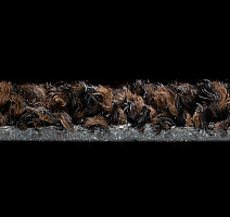 Forbo Coral Bright 2606 Fine Peat фото 3 | FLOORDEALER