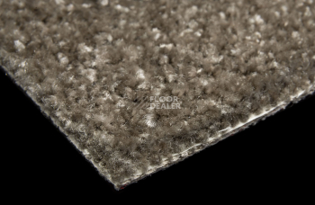 AW Masquerade Certosa 44 фото 5 | FLOORDEALER