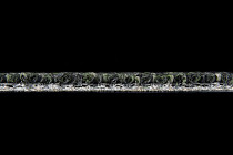 Desso Recharge ac 41 7952 фото 4 | FLOORDEALER