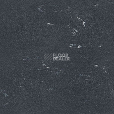 Линолеум Polyflor Standart XL 8640 фото 1 | FLOORDEALER