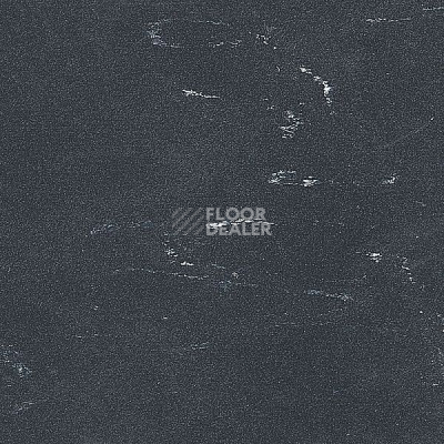 Линолеум Polyflor Standart XL 8640 фото 1 | FLOORDEALER