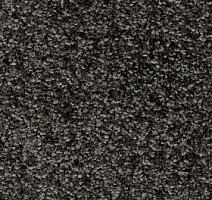 Ковровая плитка Invictus Priscus 99 фото 1 | FLOORDEALER