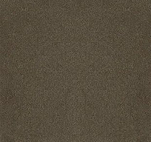 Ковролин Desso Asteranne 9113 фото 1 | FLOORDEALER