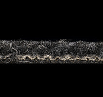 Desso Essence 9031 фото 3 | FLOORDEALER