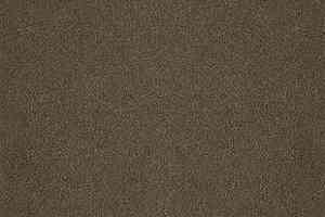 Ковролин Desso Asteranne 9113 фото  | FLOORDEALER