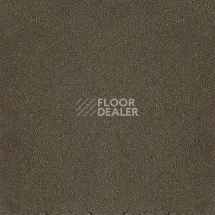 Ковролин Desso Asteranne 9113 фото 1 | FLOORDEALER