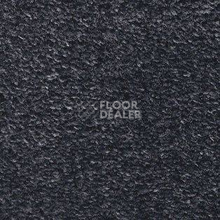 Ковролин AW Adoration 79 фото 1 | FLOORDEALER