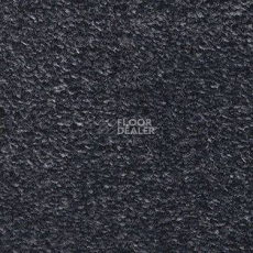 Ковролин AW Adoration 79 фото 1 | FLOORDEALER