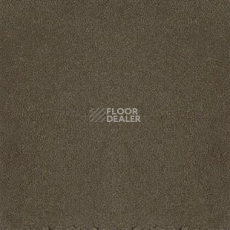 Ковролин Desso Asteranne 9113 фото 1 | FLOORDEALER