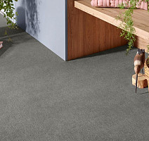 Vorwerk Superior 1072/Nutria Comfort Vorwerk 5x63 фото 2 | FLOORDEALER