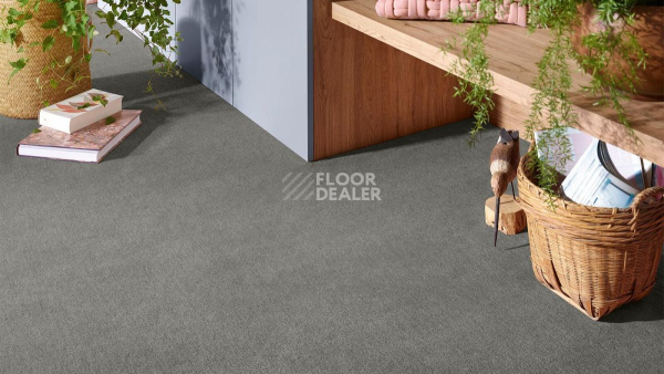 Vorwerk Superior 1072/Nutria Comfort Vorwerk 5x63 фото 2 | FLOORDEALER