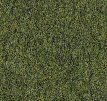 Ковролин Finet Vision Color 800111 фото 1 | FLOORDEALER