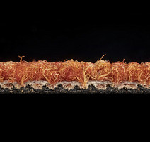 Desso Essence 5012 фото 3 | FLOORDEALER