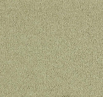 Ковролин Lano Incasa 540 Curry фото 1 | FLOORDEALER