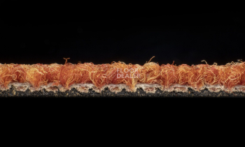 Desso Essence 5012 фото 3 | FLOORDEALER