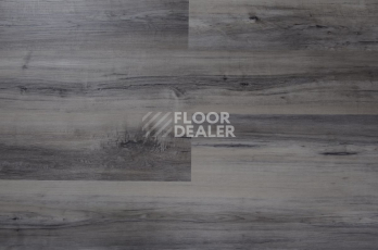 Evofloor Optima Click 4.2мм Дуб Индиго фото 5 | FLOORDEALER