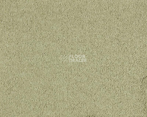 Ковролин Lano Incasa 540 Curry фото 1 | FLOORDEALER