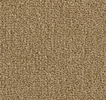 Ковролин Balsan Majestic 730 фото 1 | FLOORDEALER