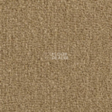 Ковролин Balsan Majestic 730 фото 1 | FLOORDEALER