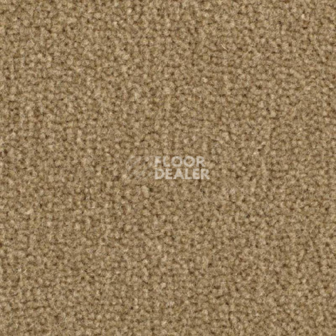Ковролин Balsan Majestic 730 фото 1 | FLOORDEALER