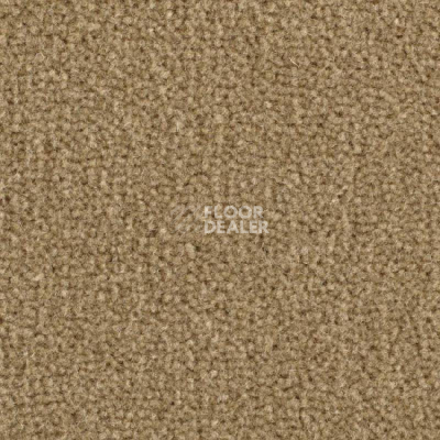 Ковролин Balsan Majestic 730 фото 1 | FLOORDEALER