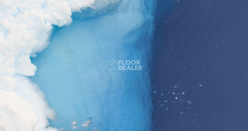 Uni Walton 0100 Ocean Blue фото 3 | FLOORDEALER