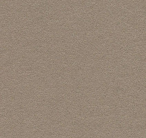 Линолеум Forbo Marmoleum Bulletin Board 2208 mushroom medley фото 1 | FLOORDEALER